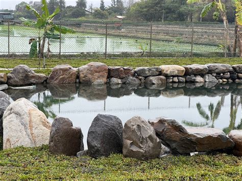 水池設計|大義絕美水池庭園景觀